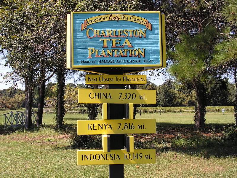 Plantations to Visit in Charleston SC