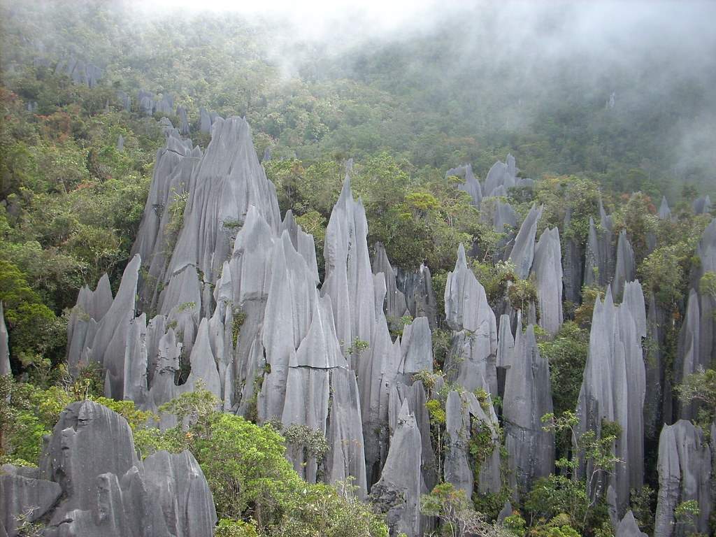 Mulu National Park