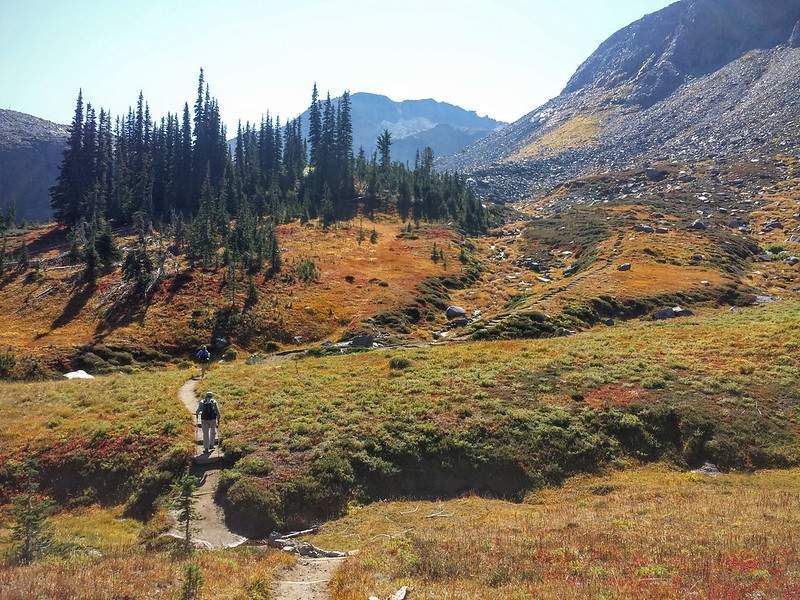 Alpine Day Hike in Mount Rainier National Park