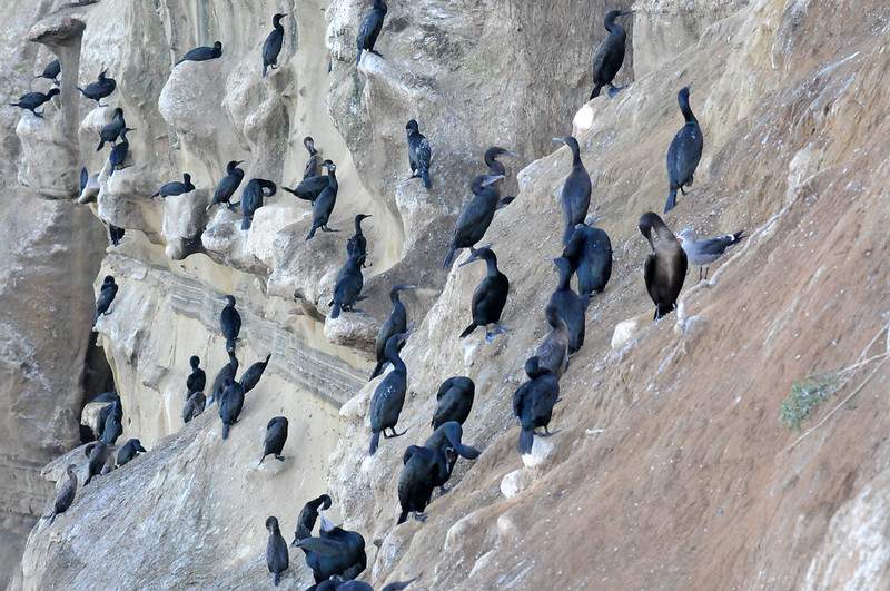 Ultimate Guide to Easy Day Hikes in California