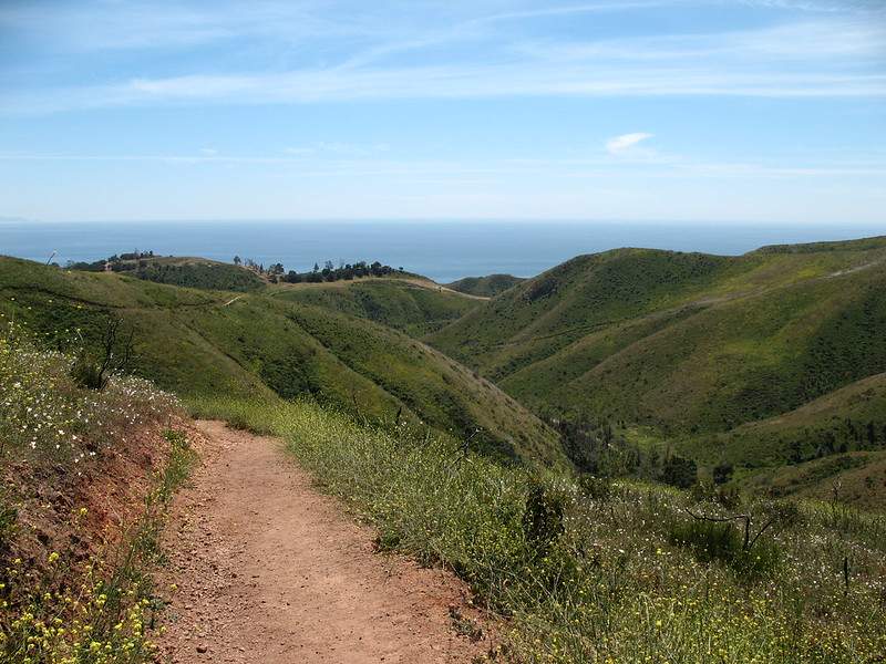 Ultimate Guide to Easy Day Hikes in California