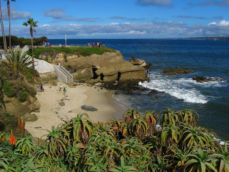 Ultimate Guide to Easy Day Hikes in California