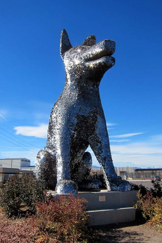 Moderate Hikes Near Denver