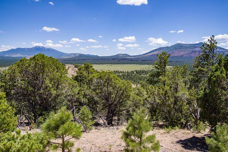 A Scenic Coastal Hike in San Francisco