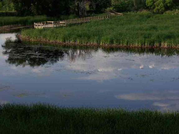 Best Hikes Near Denver with Kids