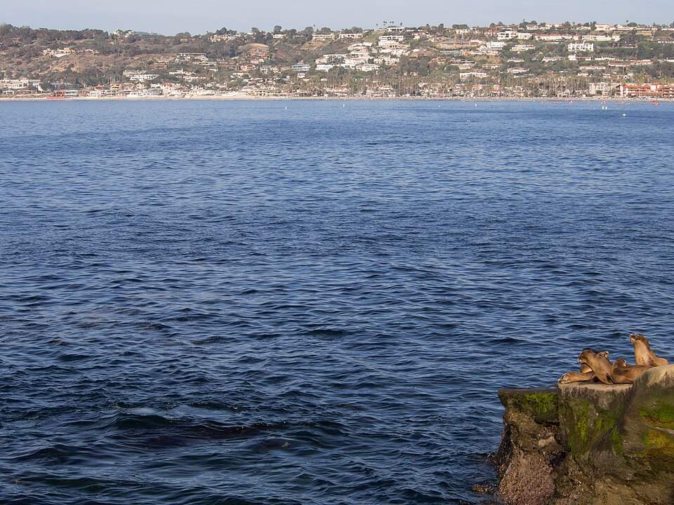 Sea Lion Point