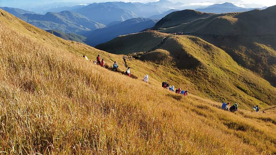 Mount Pulag Day Hike
