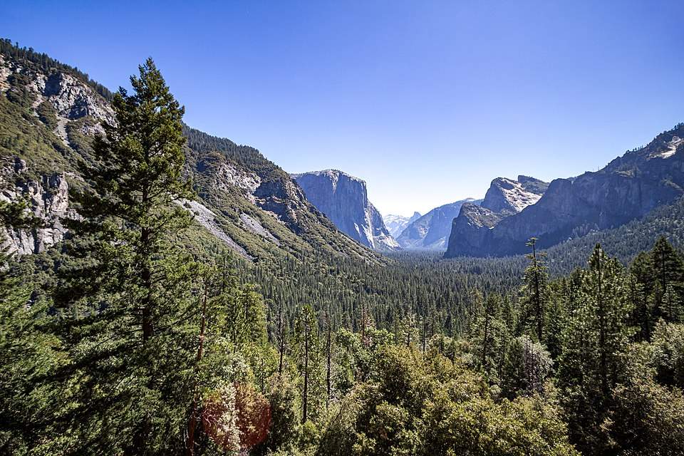 Ultimate Guide to Easy Day Hikes in California