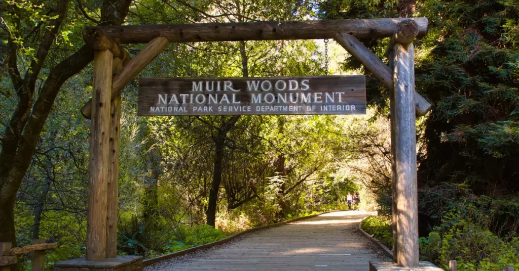 Muir Woods Day Hike from San Francisco