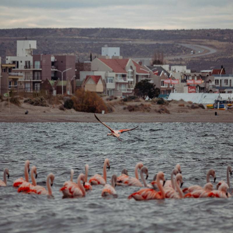 Ferry vs Flight guide to Flamenco Beach