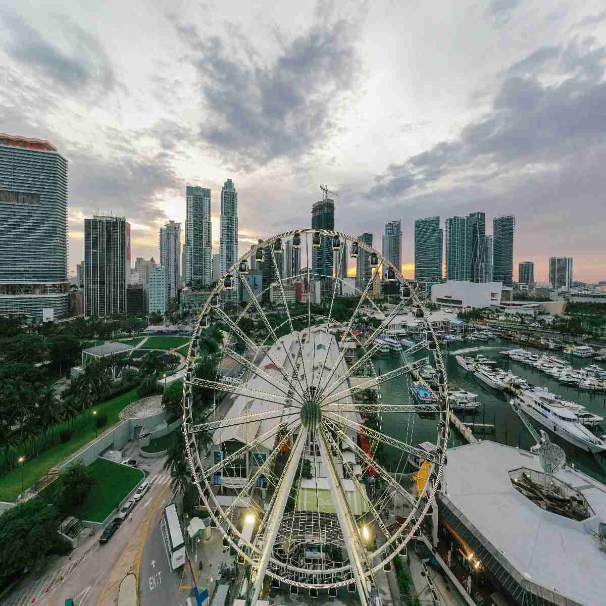 skyviews miami observation wheel