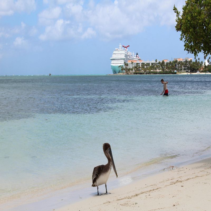 free things to do in Aruba